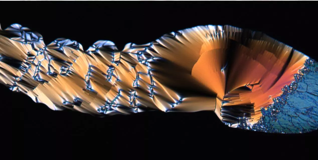 Biophotonics