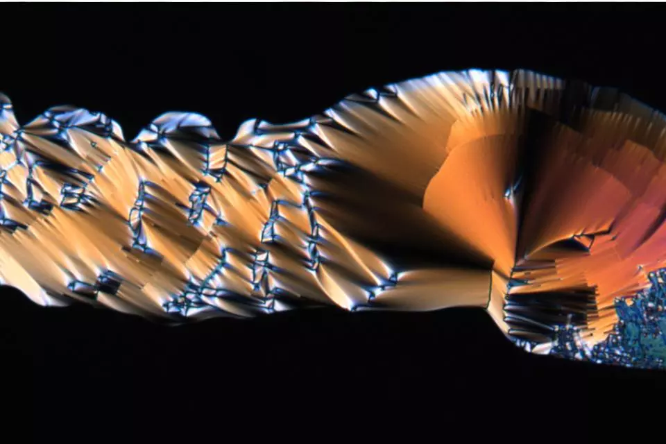 Biophotonics